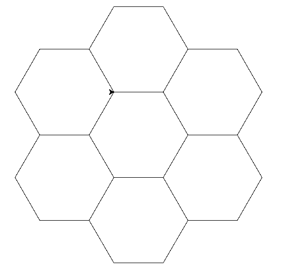 _images/turtle-honeycomb.png