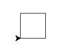 _images/turtle-square.png